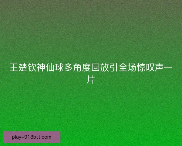 王楚钦神仙球多角度回放引全场惊叹声一片
